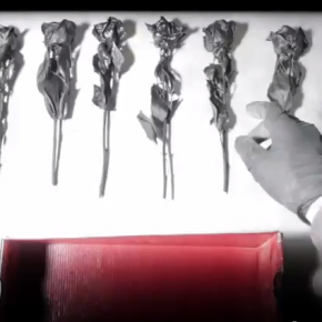 Video: Dream Affair - From Now On Video: Dream Affair - From Now On
